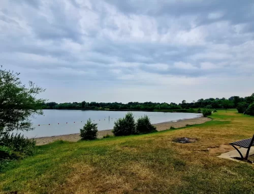 Waarschuwing voor zwemmers: kans op zwemmersjeuk in Bronsbergenmeer bij Zutphen