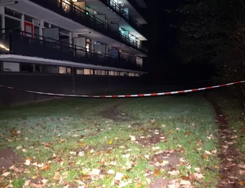 TBS met voorwaarden geëist tegen Zutphense vrouw na poging doodslag zoon