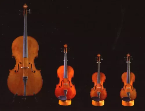 Salonmuziek in Museum Henriette Polak