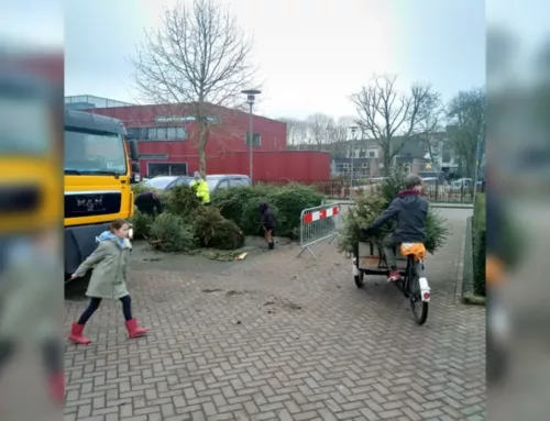 Kerstboom inleveren bij de gemeente
