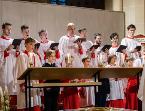 Gratis concerten en voorstellingen tijdens Internationaal Barok Festival Zutphen