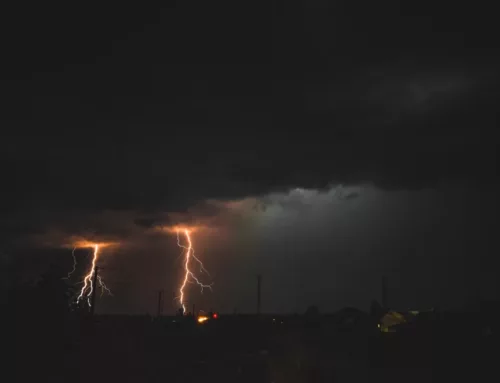 Grote boom valt ’s nachts op woning in Zutphen, bewoner blijft ongedeerd