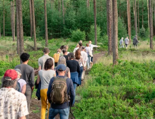 Vroege ochtendwandeling rond wolf centraal bij tentoonstelling LUPUS in Zutphen