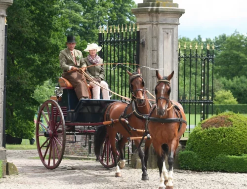 Traditionele Nachtrit van Zutphen brengt koetsen bij kaarslicht terug in de binnenstad