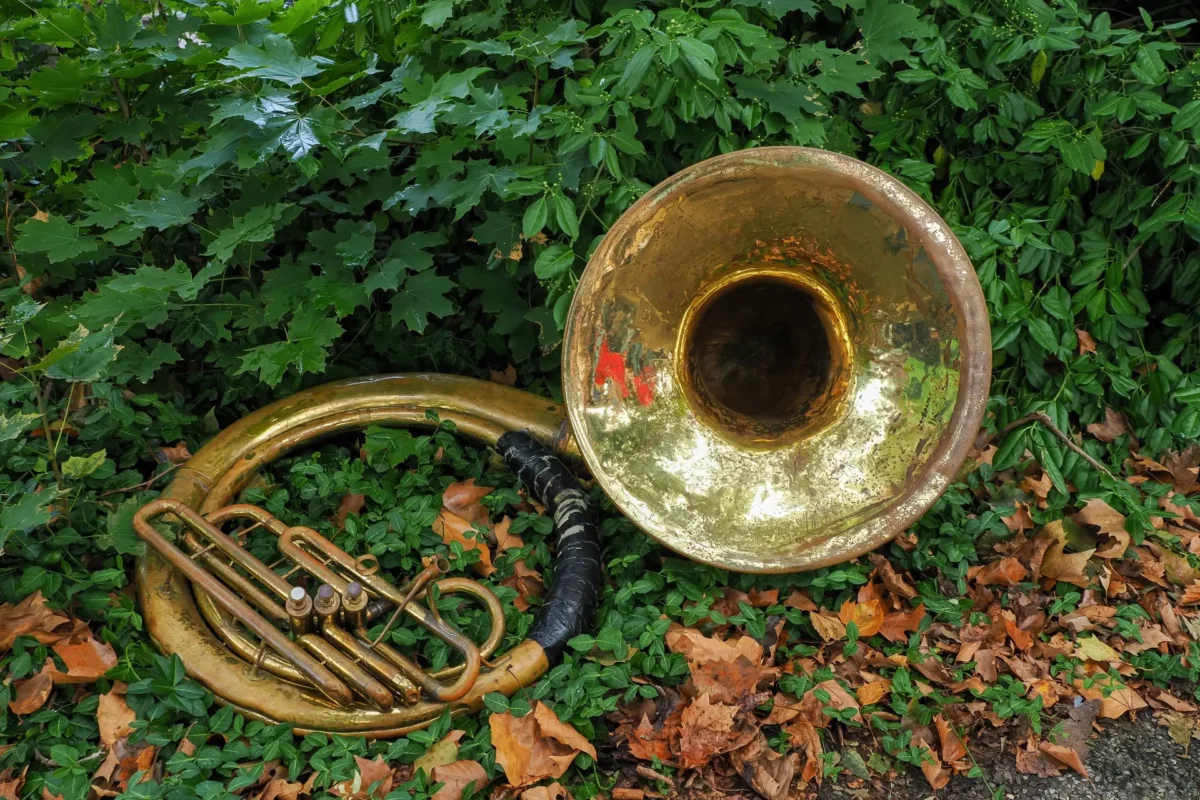 De Bos Dweildag Zutphen 2026 (20)