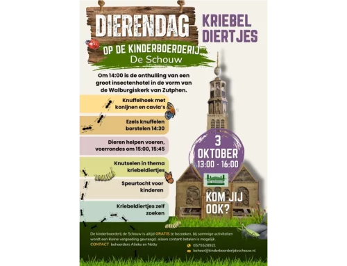 Bijzonder insectenhotel in de vorm van Sint Walburgiskerk onthuld op Kinderboerderij De Schouw