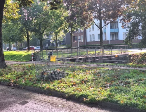 Gemeente plaatst weer bladkorven vanwege vallende bladeren